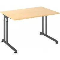 Hjh OFFICE PRO ZENO 12 G | 120x80 - 120 x 80 h?henverstellbar Ahorn/Graphit