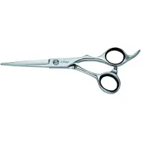 E-Kwip Knipschaar Education 55 Zilver 5,5inch