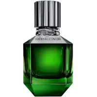 Roberto Cavalli Paradise Found For Men Eau De Toilette 50 ml (man)