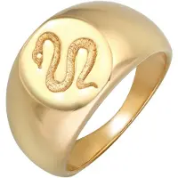Elli Ring Siegelring Schlange Kraft Symbol 925 Silber Elli Premium Gold