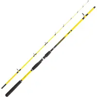 Jenzi Angelrute Continuum 1,80 m 20-100 g