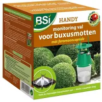 Bsi Handy-Pheromonfalle Buchsbaumzünsler