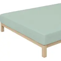 Schlafgut »Mako« Jersey Spannbetttücher 180/200 - 200/200 cm / minze 507