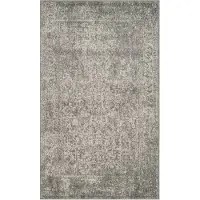 Safavieh | Teppich Fiorella Zilverkleurig Kunstvezel 180x120 cm | NADUVI