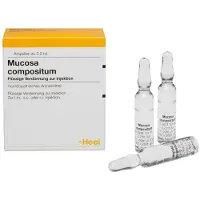 Heel Mucosa Compositum Ampullen 100 St