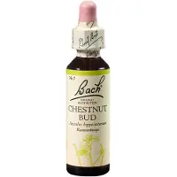 Nelsons GmbH BACHBLÜTEN Chestnut Bud Tropfen