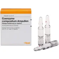Heel Coenzyme Compositum Ampullen 100 St