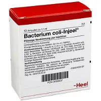 Heel Bacterium Coli Injeel Ampullen 10 St