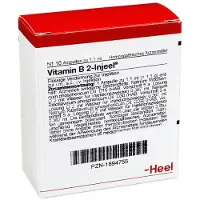 Heel Vitamin B2 Injeel Ampullen 10 St