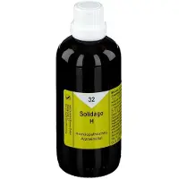 Nestmann Solidago H 32 Tropfen 100 ml
