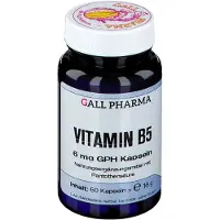 GALL PHARMA Vitamin B5 6 mg GPH Kapseln 60 St