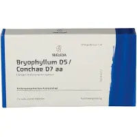 Weleda Bryophyllum D 5/Conchae 7 Ampullen 48x1 ml