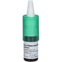 Weleda Ag Arnica Planta tota Rh D 3 Augentropfen 10 ml