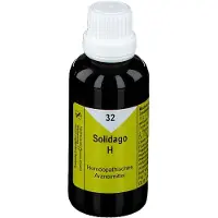 Nestmann Pharma GmbH Solidago H 32 Tropfen 50 ml
