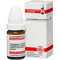 DHU Streptococcinum C 1000 Globuli 10 g