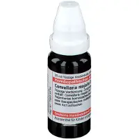 DHU Convallaria Majalis D 12 Dilution 20 ml