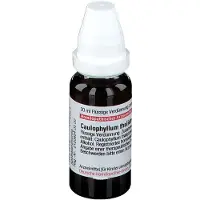 DHU Caulophyllum Thalictroides D 30 Dilution 20 ml