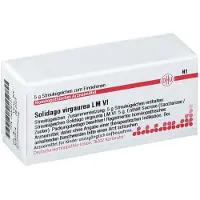 DHU Solidago Virgaurea LM VI Globuli 5 g