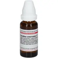 DHU Ceanothus Americanus D 3 Dilution 20 ml