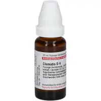 DHU-Arzneimittel GmbH & Co. KG Clematis D 4 Dilution 20 ml