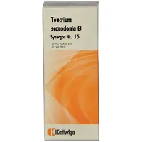 Kattwiga Synergon Komplex 15 Teucrium Urtinktur 50 ml Tropfen