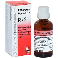 Dr. Reckeweg Pankreas-Gastreu N R72 Mischung 50 ml