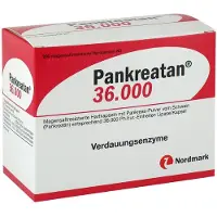 Pankreatan 36.000 magensaftresistente Hartkapseln 200 St Magensaftresistente