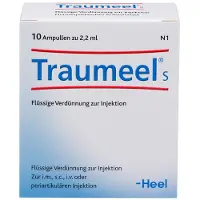Traumeel S Ampullen 10 St