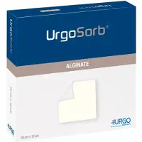 Urgo Urgosorb 10x10 cm Kompressen 10 St