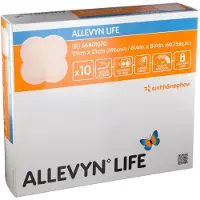 Smith&Nephew Allevyn Life 21x21 cm Silikonschaumverba 10 St