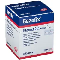 Gazofix Fixierbinde kohäsiv 10 cmx20 m 1 St Binden
