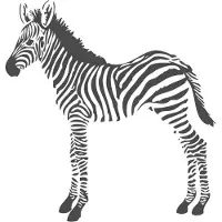Origin Wallcoverings Fototapete Zebras Schwarz-Weiß 1,5 x 2,79 m 357217
