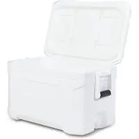 Igloo Coolers Coolers Profile Marine 50 47l Steife Tragbare Kühlbox Durchsichtig 62 x 39 x 37 cm Durchsichtig 62 x 39 x 37 cm