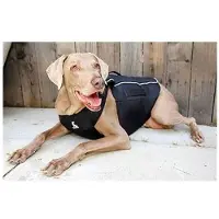 Altranet Hundemantel Comfy Wrap 63,5 cm nylon/schaum schwarz