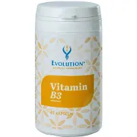Evolution Vitamin B3 Kapseln 60 St