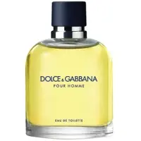 Dolce&Gabbana Pour Homme Eau de Toilette 75 ml