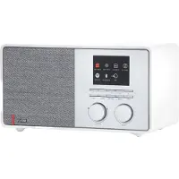 Pinell Supersound 301