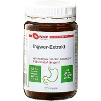 Dr. Wolz Ingwer Extrakt Dr.Wolz Kapseln 120 St