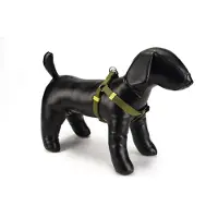 Beeztees Uni - Hundegeschirr - hellgrün - 60-100 cm x 25 mm