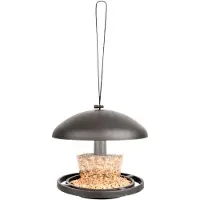 Esschert Design Vogelfutterautomat Kunststoff l19b2h16cm