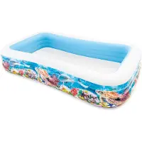 Intex Tropical Pool