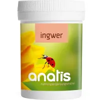Anatis Ingwer 34,2 g