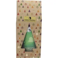 Martina Gebhardt Tassilo Linde Face Lotion in Geschenkbox 100 ml