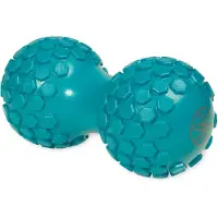 Gaiam Dual Zone