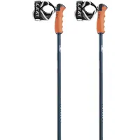 LEKI Herren Alpin-Skistock Patrol S