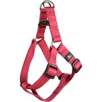 Flamingo Geschirr Step & Go Ziggi kirschrot, Maße: 35-60 cm / 20 mm