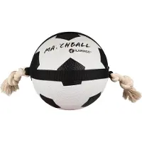 Karlie Action Ball Hundespielzeug