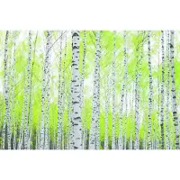 Papermoon Fototapete "Birch Forest" matt
