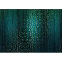 Komar Vliestapete "Mystique" 400x280 cm (Breite x Höhe)