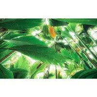 Overig Vliestapete "Digitaldruck Vlies - Dschungeldach II - Größe 450 x 280 cm" bedruckt glatt Wohnzimmer, Schlafzimmer